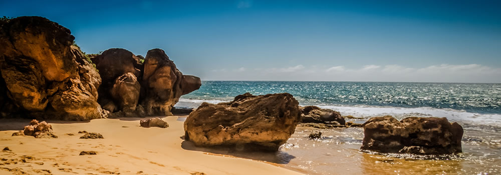 Image of Pacific Coast
